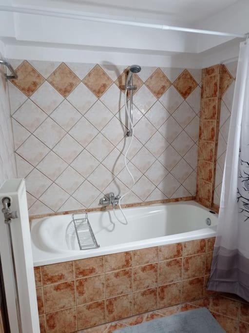 Apartmán Trikala Alex House Exteriér fotografie